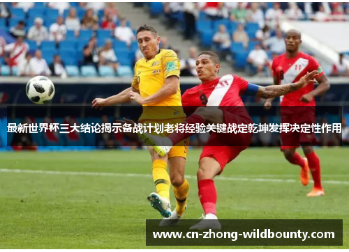 最新世界杯三大结论揭示备战计划老将经验关键战定乾坤发挥决定性作用 最新世界杯三大结论揭示备战计划老将经验关键战定乾坤发挥决定性作用