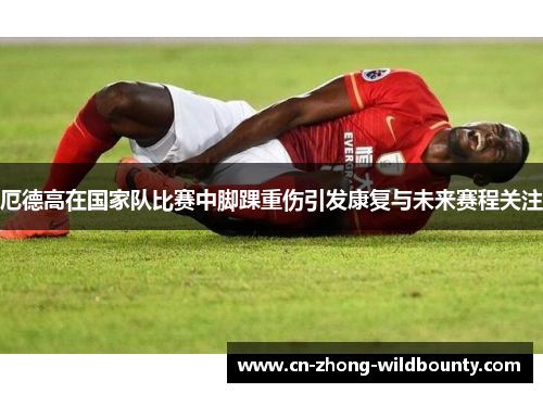 厄德高在国家队比赛中脚踝重伤引发康复与未来赛程关注