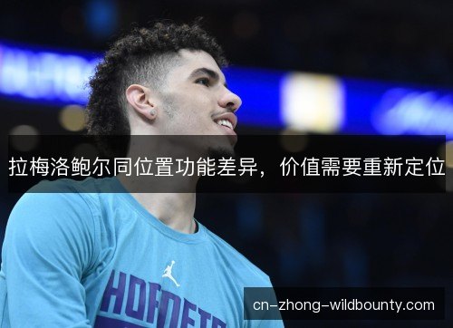 拉梅洛鲍尔同位置功能差异，价值需要重新定位